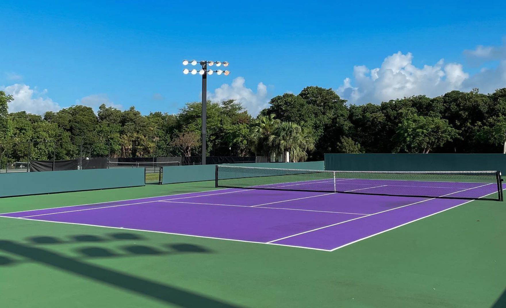 purple tennis court padel 